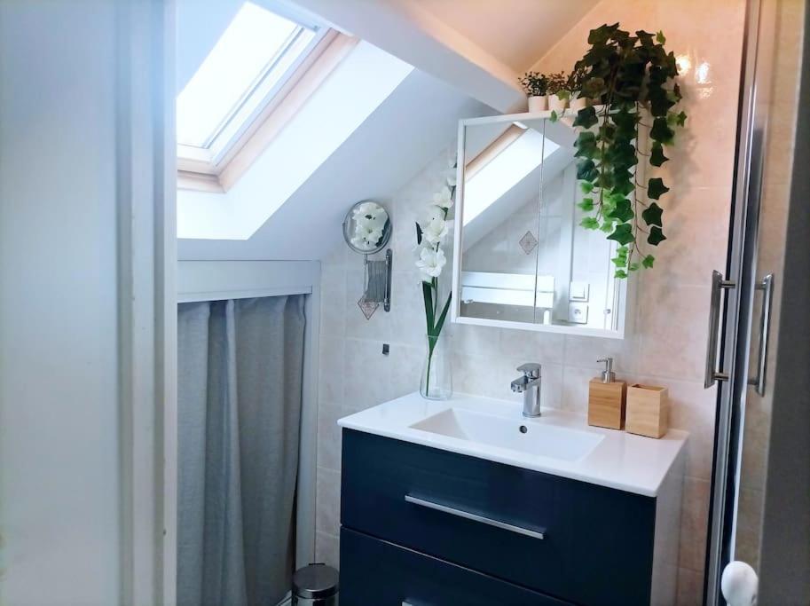 Apartamento Le Duplex Decontracte Fleury-les-Aubrais Exterior foto